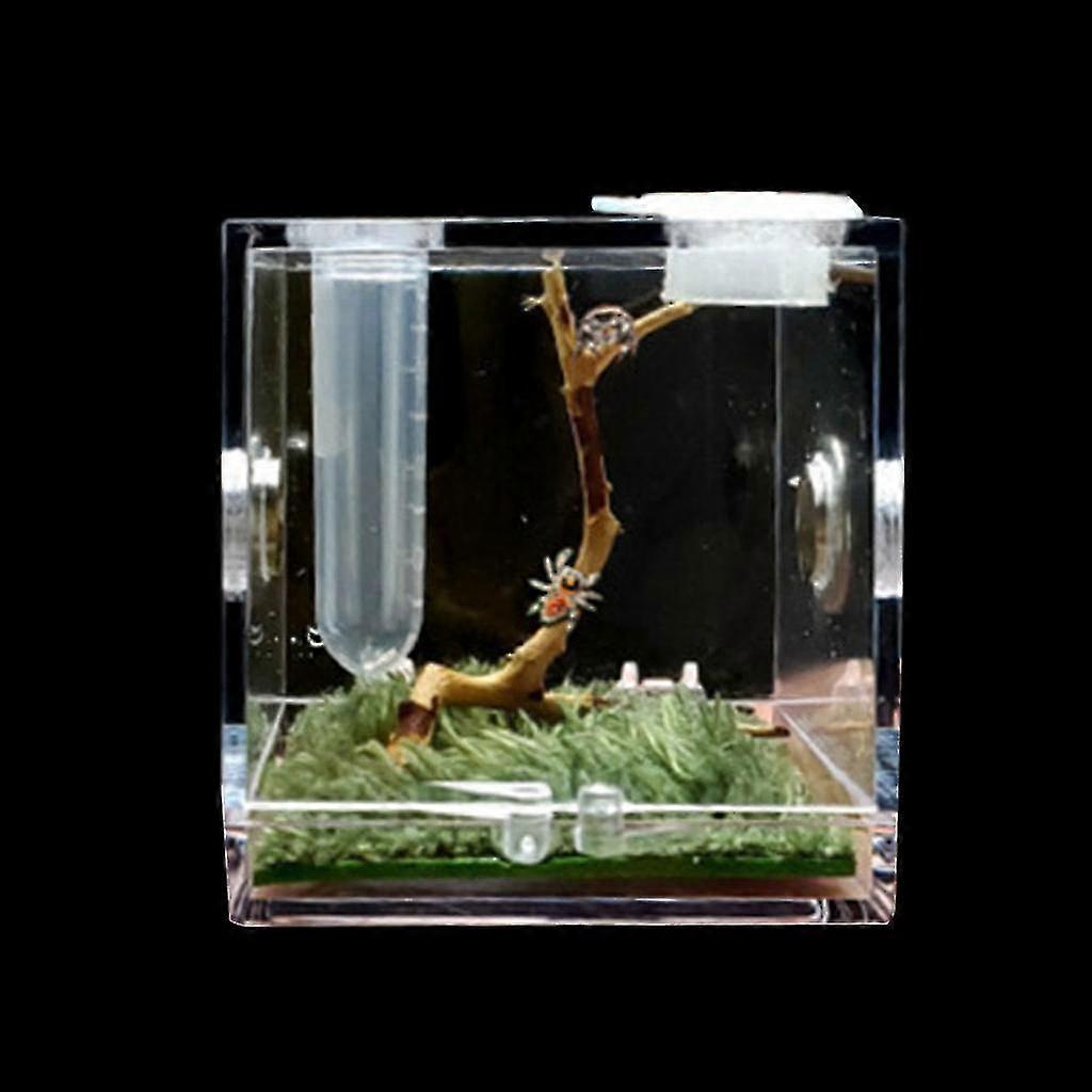 Terrarium οικοτόπων αράχνης, terrarium για μικρά ερπετά εντόμων Tw