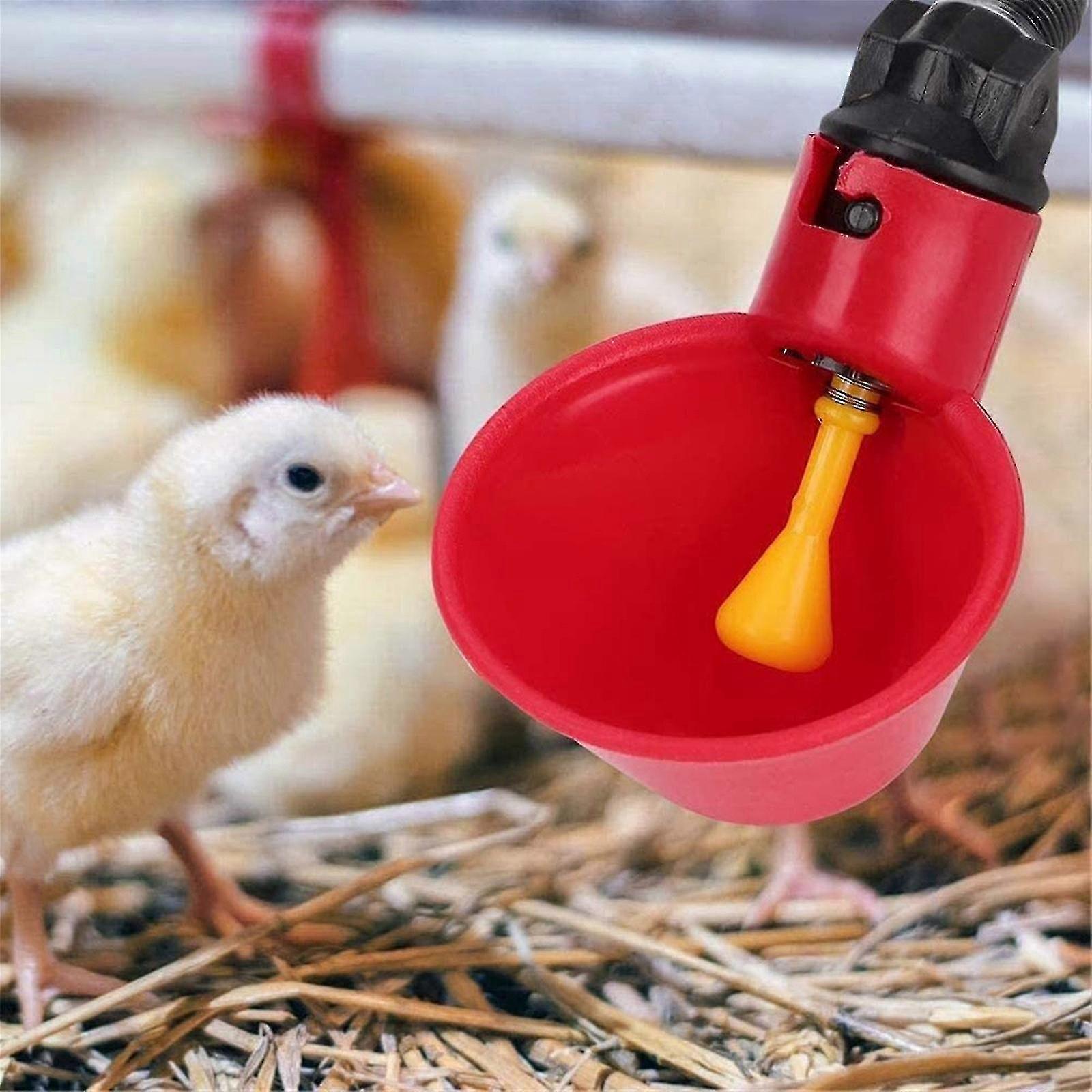 Water Bottle Poultry/quail Water Drinking Cups Chicken Hen Plastic Automatic Drinker New