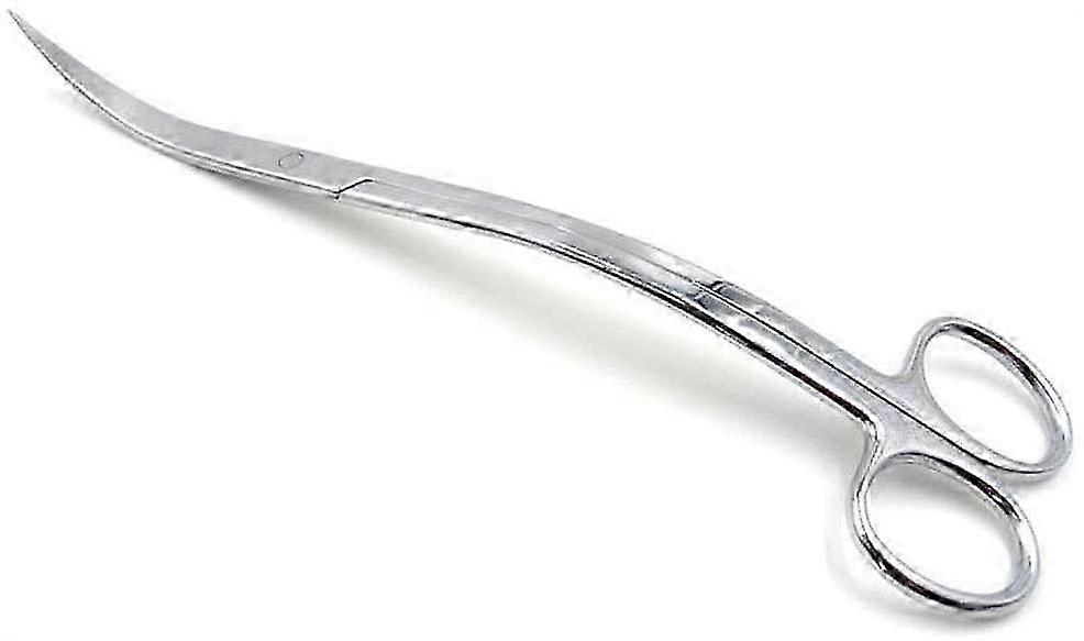 Scissors, Curved - Bladed, Stainless Steel, Ideal for Precision Cutting Tasks