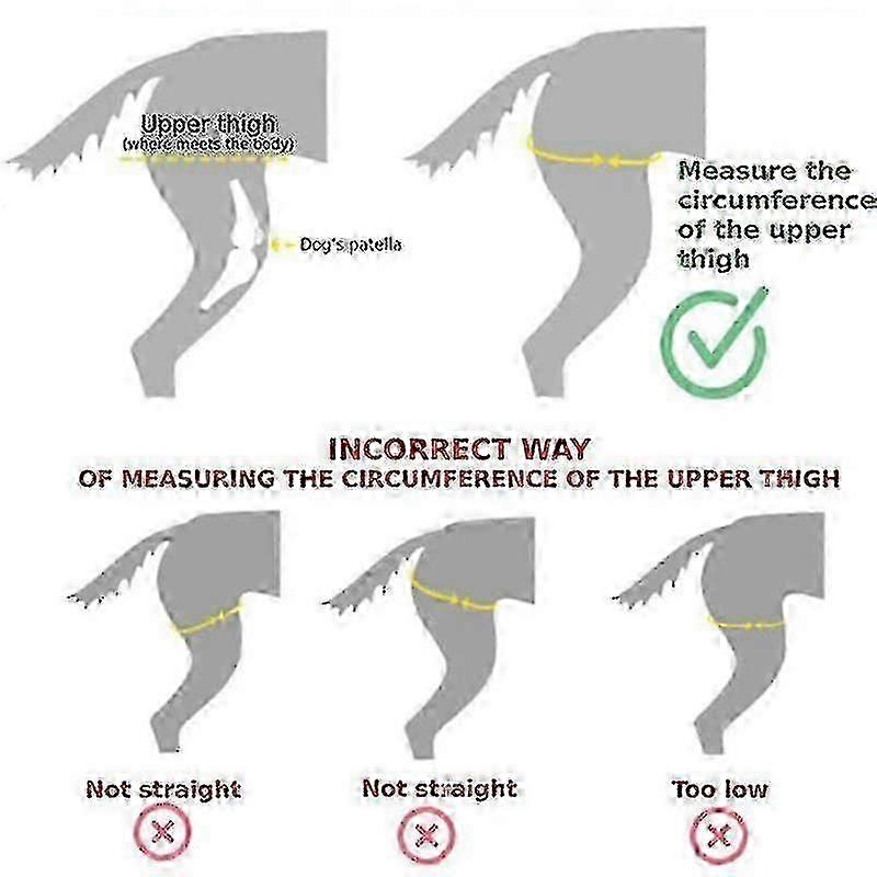 脚の怪我の後のペット保護具脚保護スリーブ犬膝パッド
