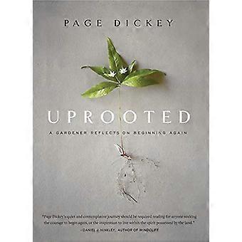 Uprooted A Gardener Reflects on Beginning Again