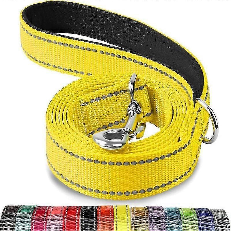 Training Leash for Large and Medium Dogs
