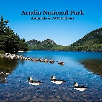 Acadia nasjonalpark dyr og attraksjoner barnebok: flott måte for barn å se dyrene og attraksjonene i Acadia nasjonalpark