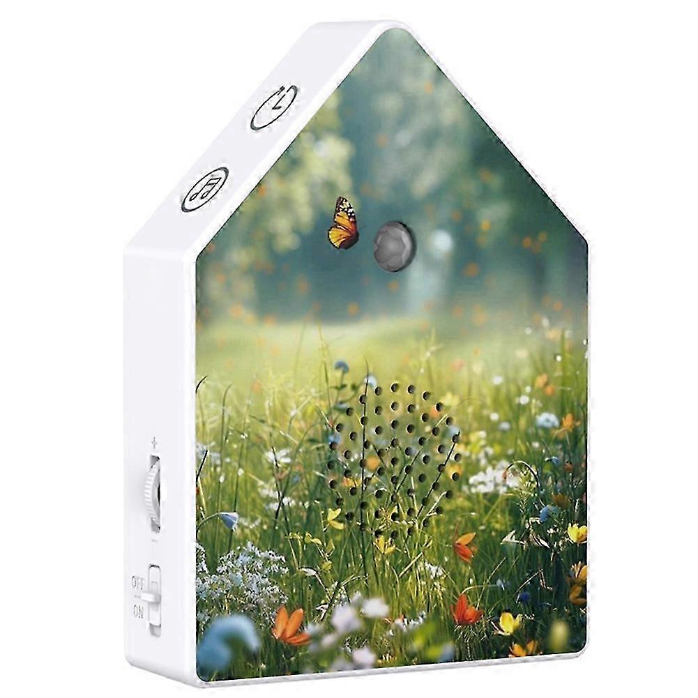 Timer-Controlled Bird Chirping Box