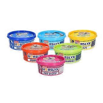 Package deal Horslyx Mini1