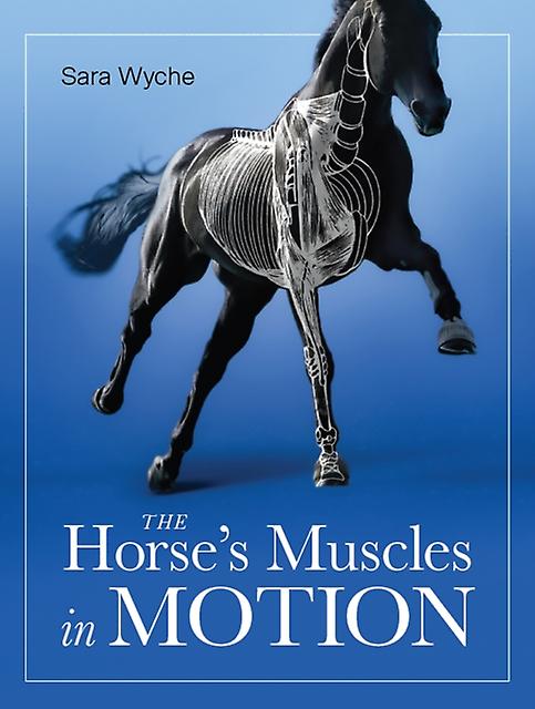Horses Muscles In Motion by Sara Wyche Paperback