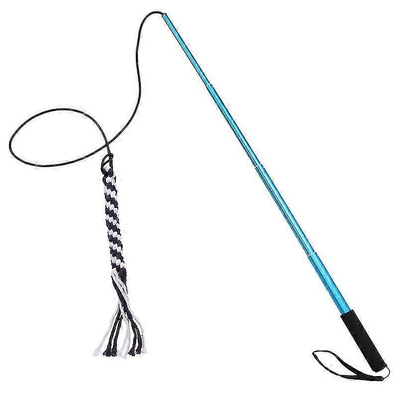 Pets Toys Interactive Extendable Flirt Pole Funny Chasing Tail Teaser And Exerciser For Dogs Interactive