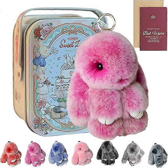 Bunnylulu Keychain, Bunny Lulu Keychain, Cute Bunny Keychain With Exquisite Box, Bunny Keychain Plush,50% Offer