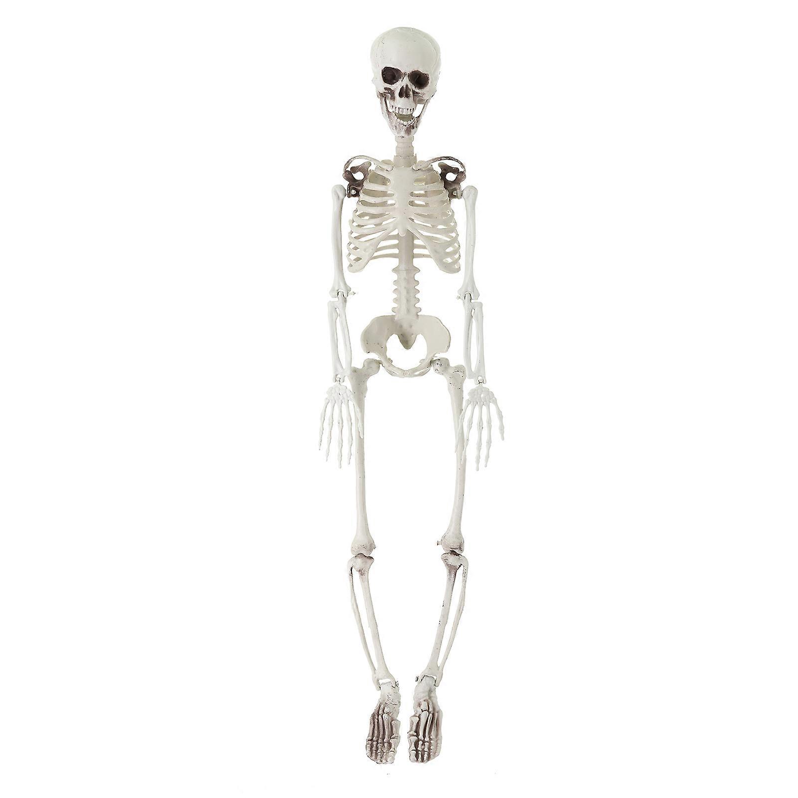 Scary Skull Skeleton Realistic Movable Skeleton Props Scary Create Atmosphere Halloween Decorations Haunted Houses
