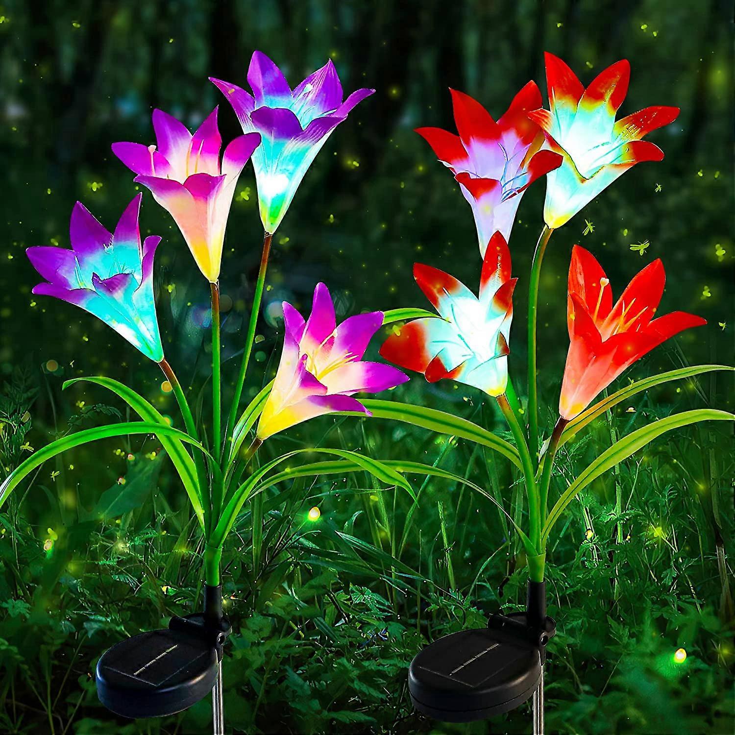 2 Pack LED Solar Garden Stake Lights,Waterproof