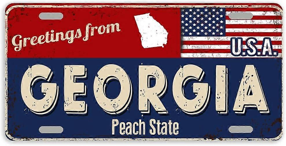 Placa de Licença de Carro de Metal com 4 Furos 12 x 6 Polegadas -Saudações da Flórida