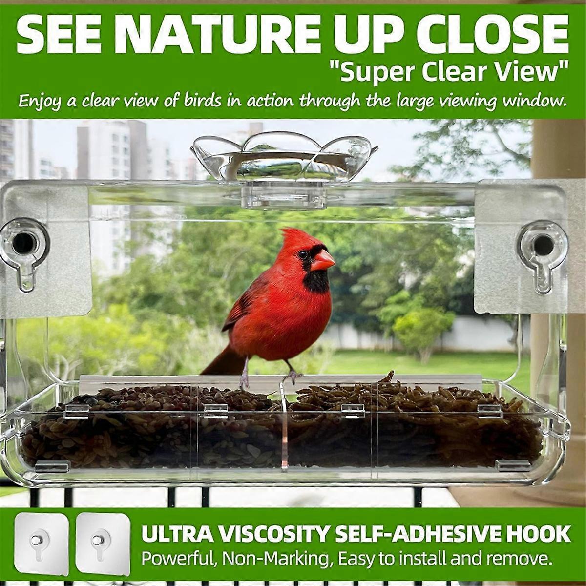 Window Bird Feeder with Non-Marking Self-Adhesive Hooks, for Outside