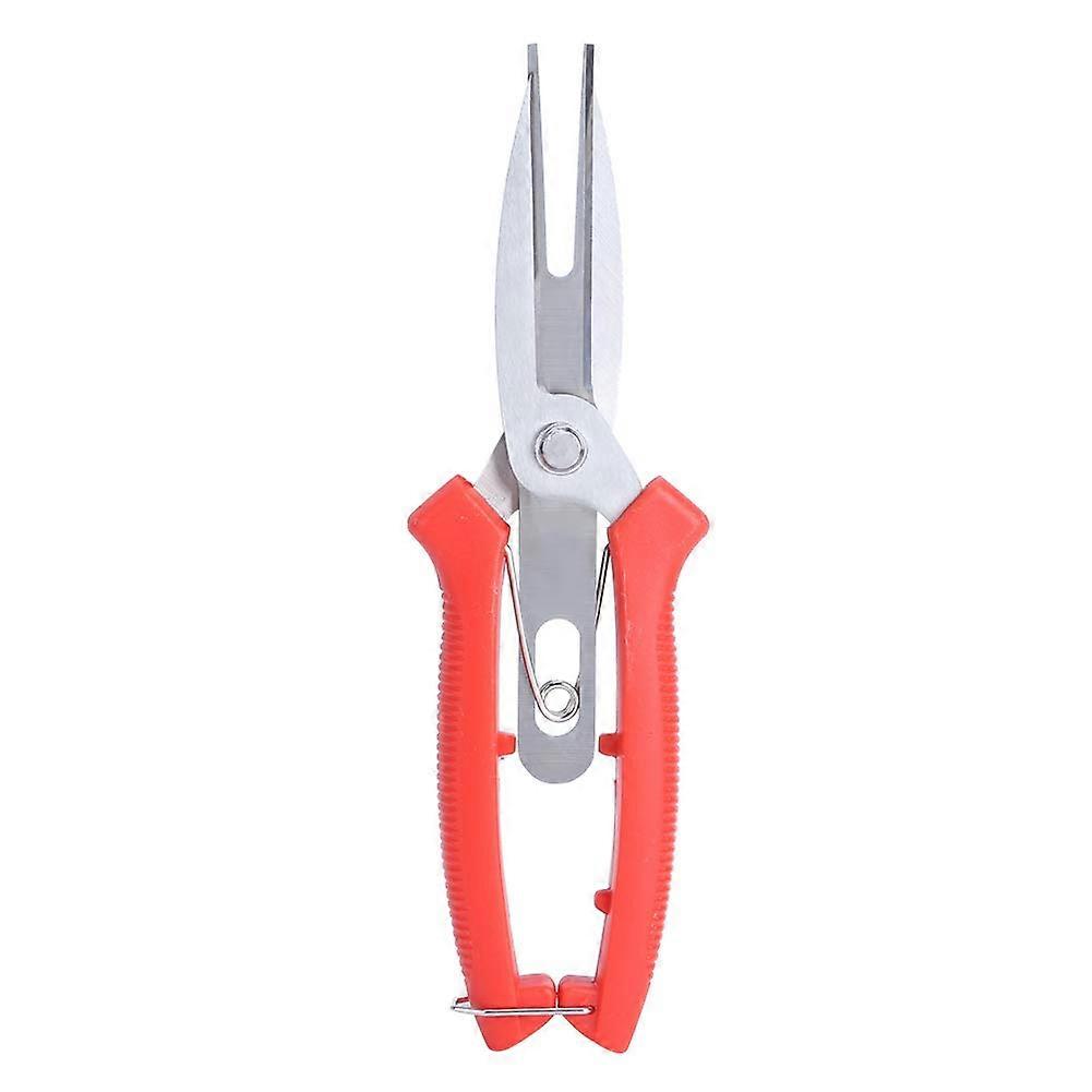 Lightweight garden shears, stainless steel, manual tree and bonsai branch shears, multipurpose garden shears, ideal as flower shears.