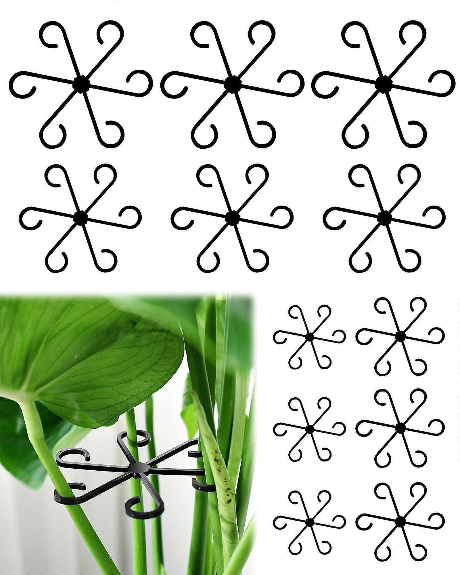 Monstera Plant Stem Support, 4 Sizes, Reusable, Plastic, Pack of 12