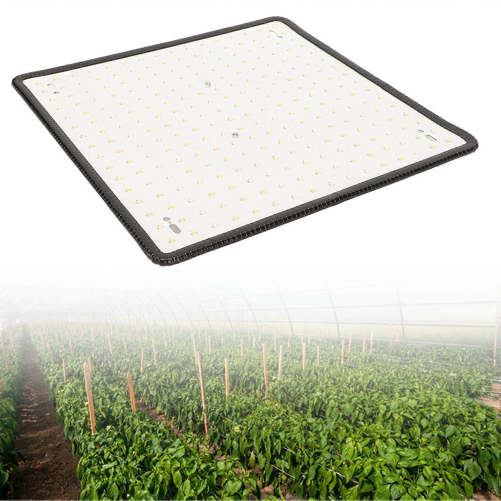 1000W LED Grow Light Professional Red and Blue Spectrum Plant Light for Indoor Plants Greenhouse 85‑265V