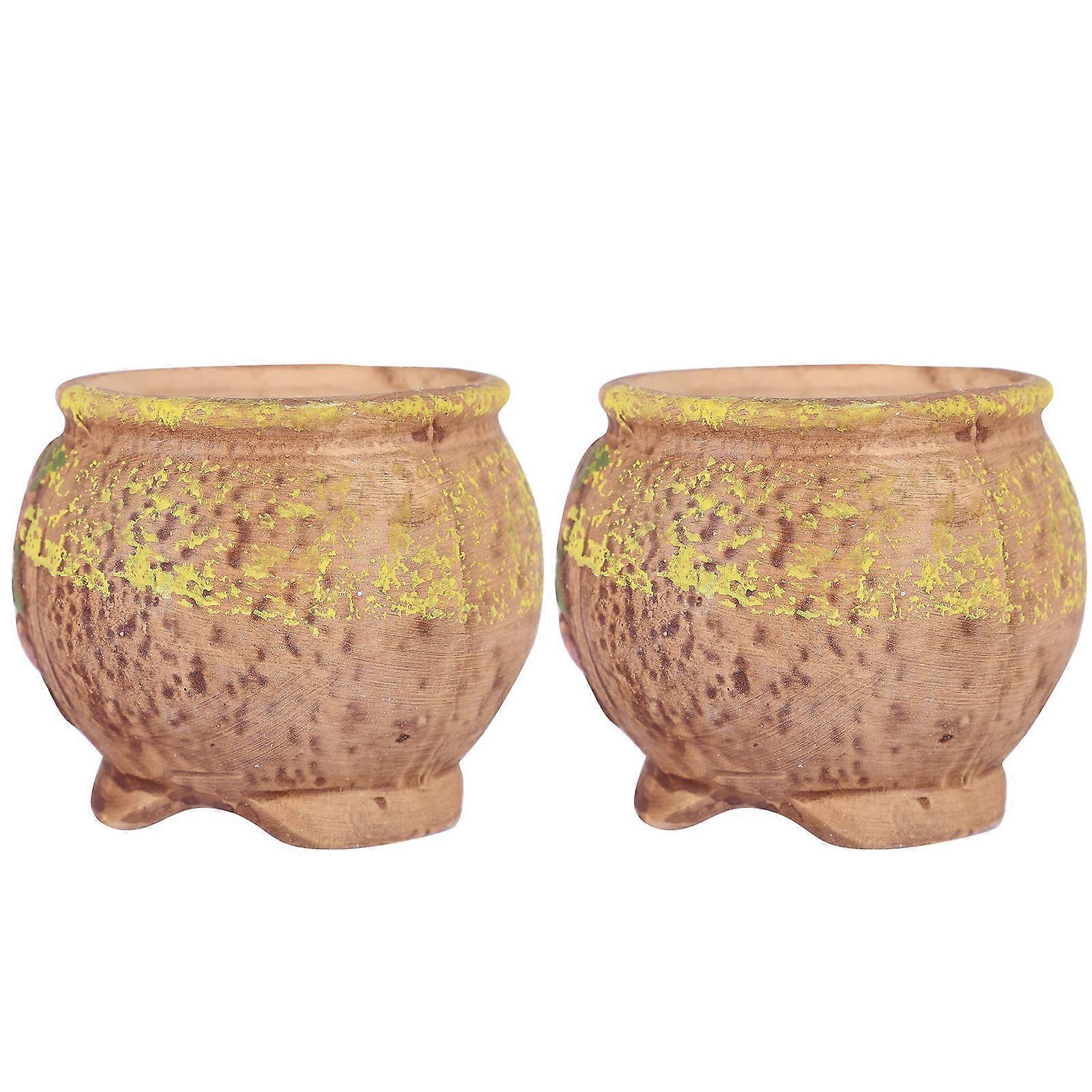 2pcs Hand Painted Succulent Planters Elegant Bonsai Flower Containers for Indoor & Outdoor Home and Office Decor