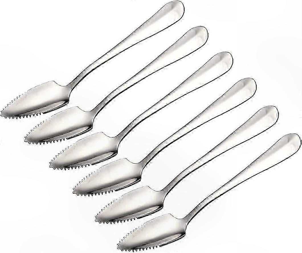Stainless Steel Grapefruit Spoons with Serrated Edge, 6-Pack