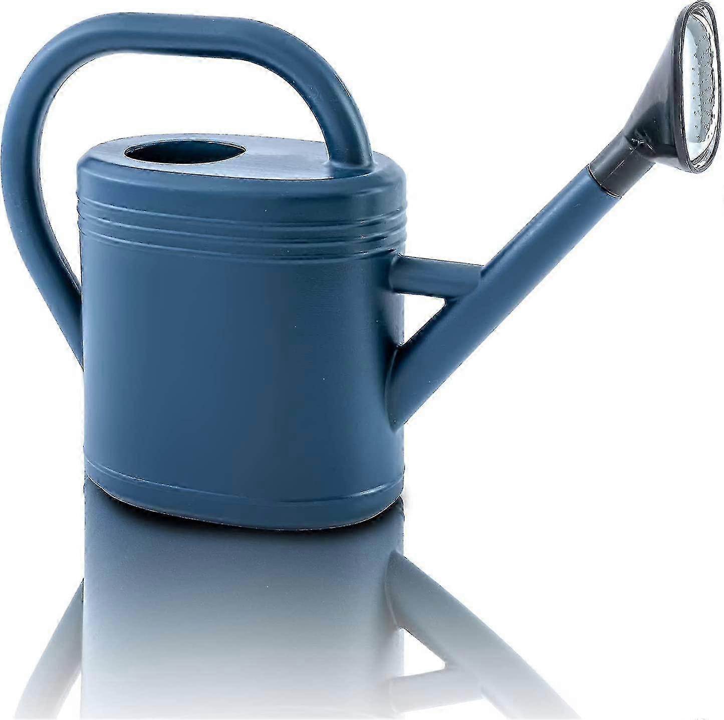 2025 watering can for outdoor plants, small watering can, water can for pla