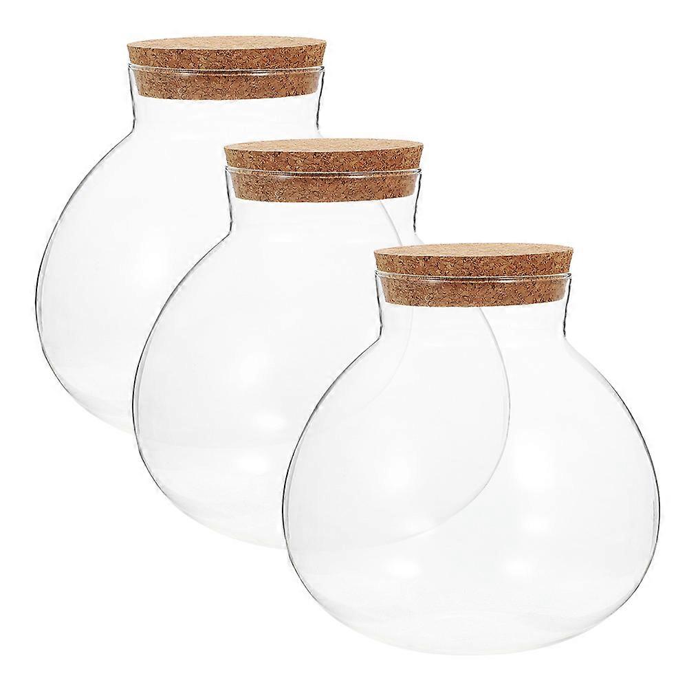 6 Pcs Microlandscape Glass Jar Spherical Shape Suitable For Home Decor Transparent Storage Container