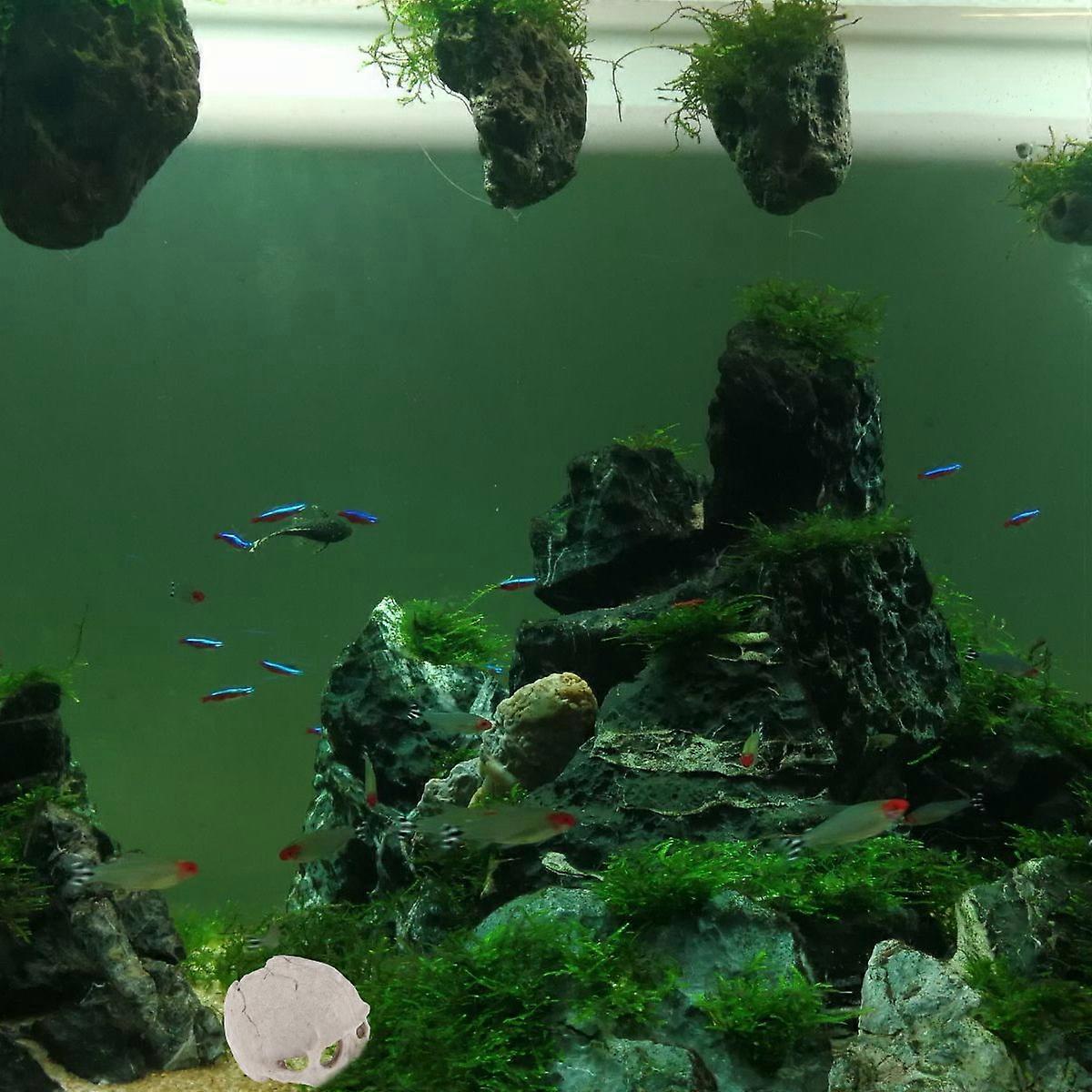 Aquarium Skull Artificial Skull Decorative Habitat Props