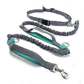Reflective Adjustable Nylon Dog Running Belt Hands-Free Elastic Lead for Jogging Walking