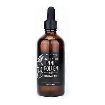 Kanadischer Kiefernpollen-Tinktur mit Doppelextrakt aus der Küstenkiefer, 100 ml