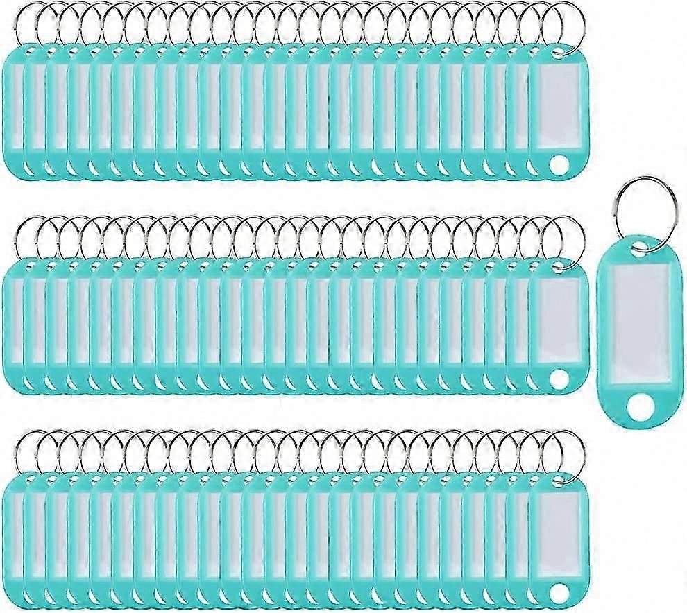 100 Pack Plastic Key Fobs with Labels and Split Rings (Blue)