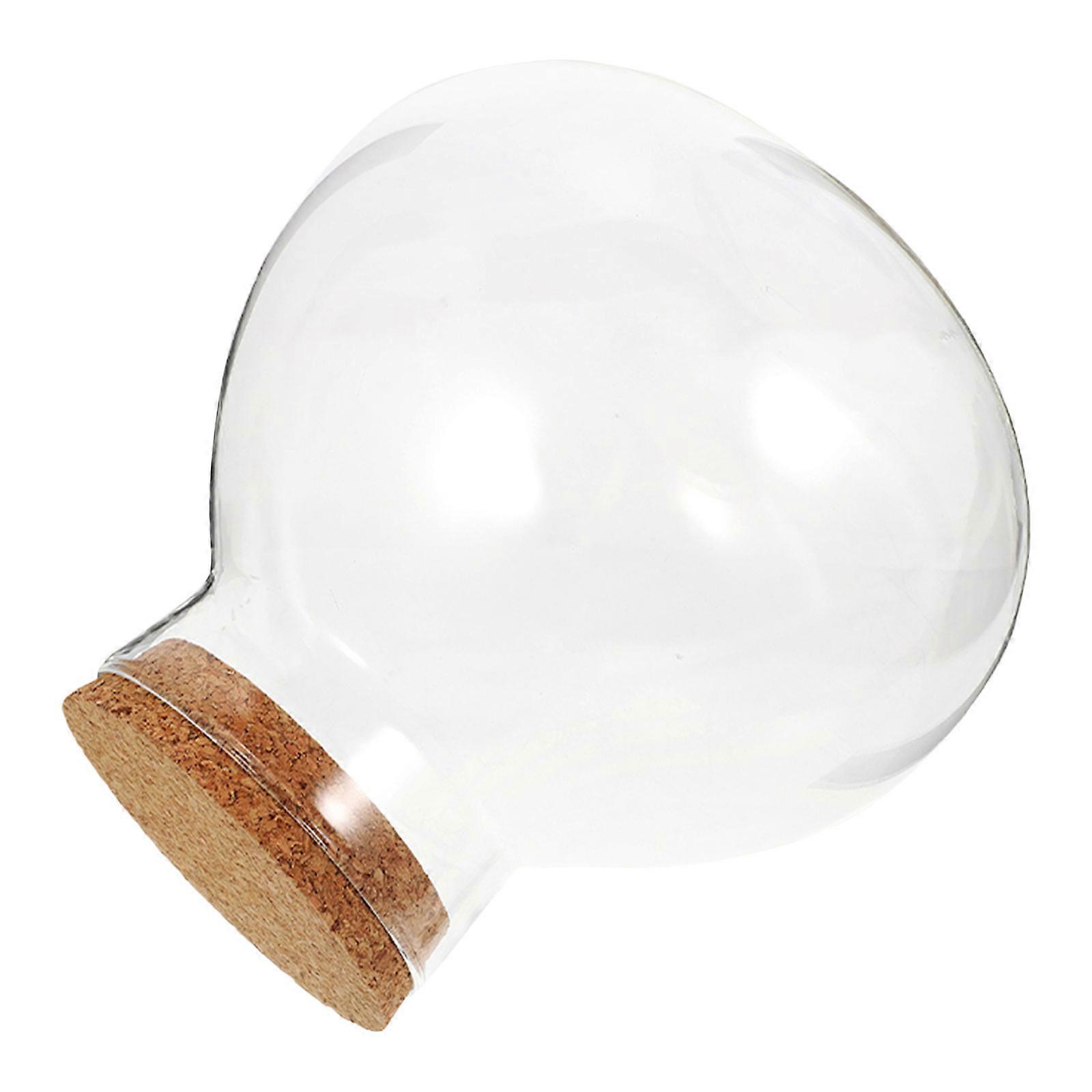 Transparent Ecological Bottle Micro Landscape Jar for Storage Use