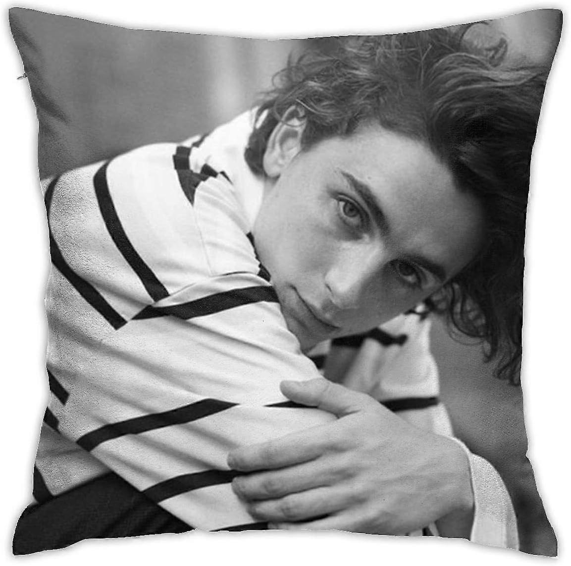 Timothee Chalamet- Polyester Plush Comfy Animated Square Pillow Case (18x18)