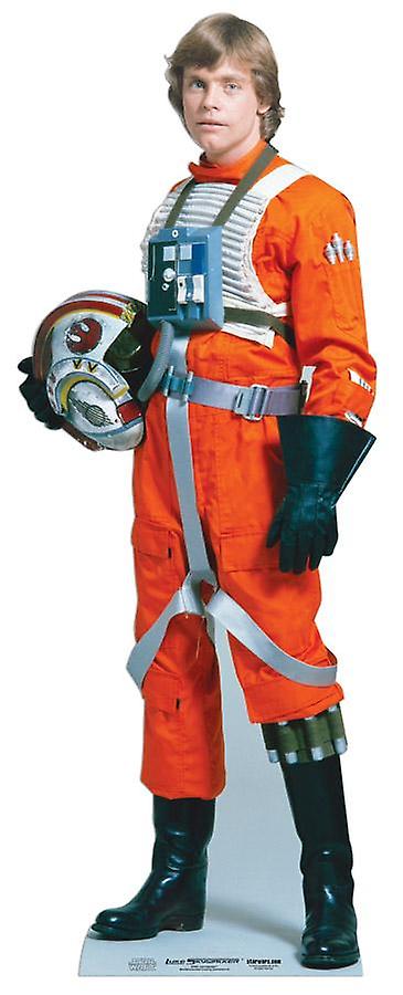 Luke Skywalker Star Wars Lifesize Cardboard Cutout / Standee (Mark Hamill)