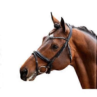 Showtime Bridle for Horse