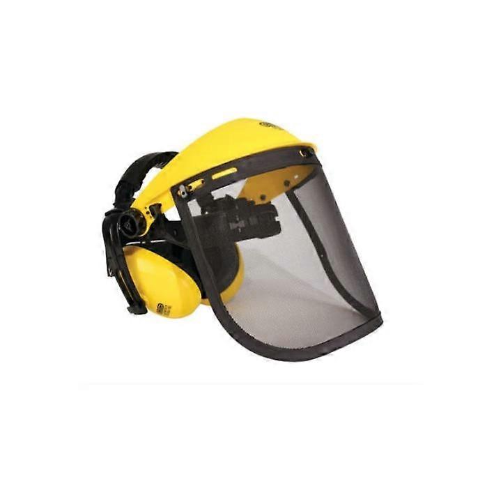 mesh with ear protection