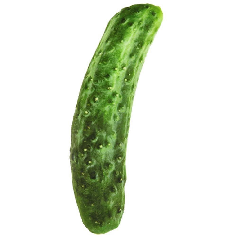 Plush Canvas Toy for Dogs, Simulation Vegetable Chew Toy, Squeaky Toy, Teeth Cleaning, Gum Massage, (Ringing Cucumber)