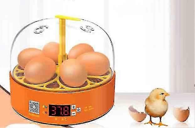 Automatic 6 Egg Incubator with Automatic Egg Turning