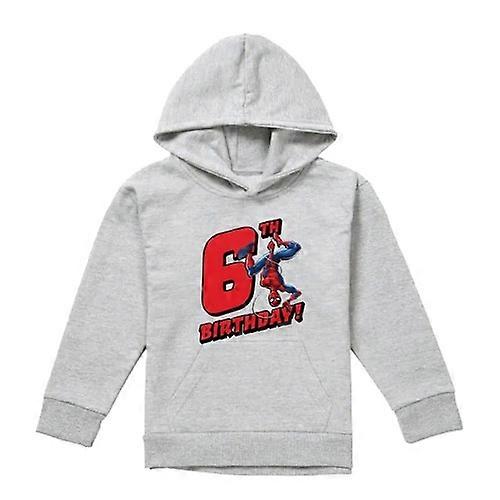 Spider-Man Childrens/Kids Heather Pull Over 6th Birthday Hoodie