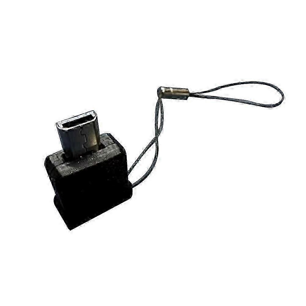 compatible with Gbm/Ndsl Conversion Cable to Type C Charging Cable