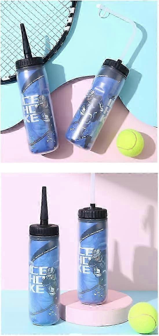 Extended Tip Straw Bottle 650ml