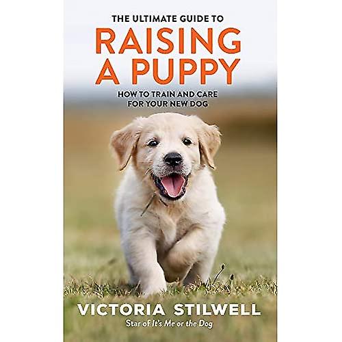 La guía definitiva para criar a un cachorro