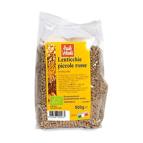 Small red lentils not peeled 500 g