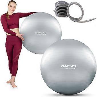 Trainingsball 75 cm NS-952 Silber