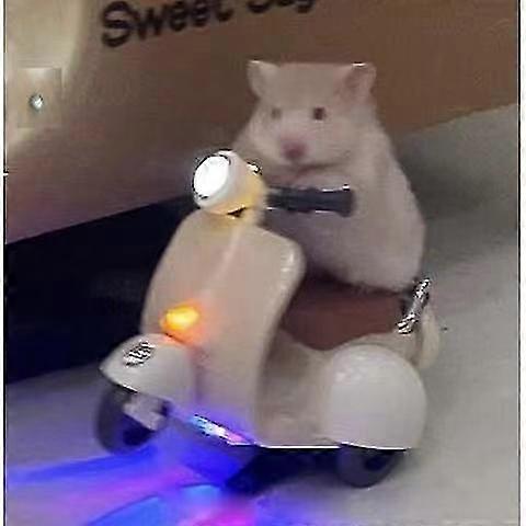 Hamster Motorcycle Toy Motorcycle Hamster Trainer