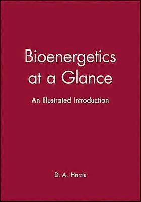 Bioenergetics at a Glance