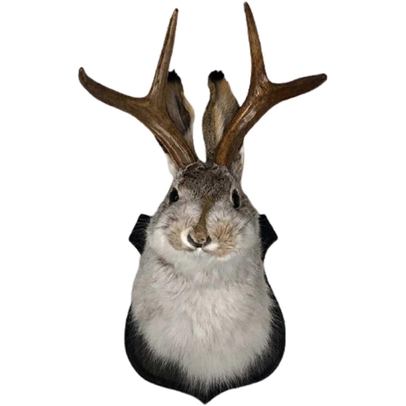 Fantasy Rabbit Head with Deer Antlers Decor