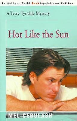 Hot Like the Sun Terry Tyndale Mysteries