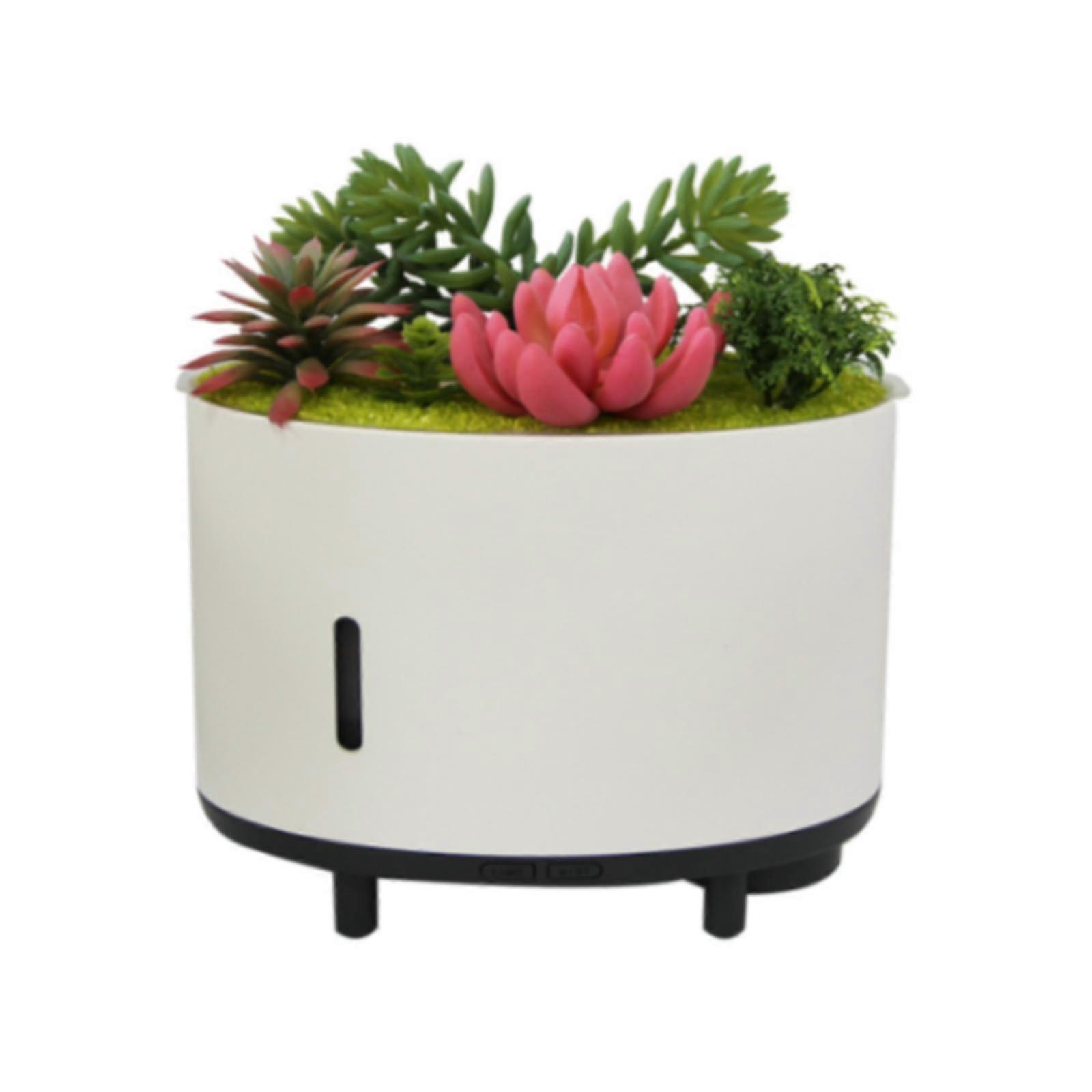 Essential Oil Diffuser Air Humidifier with Light Aromatherapy Diffuser Aroma