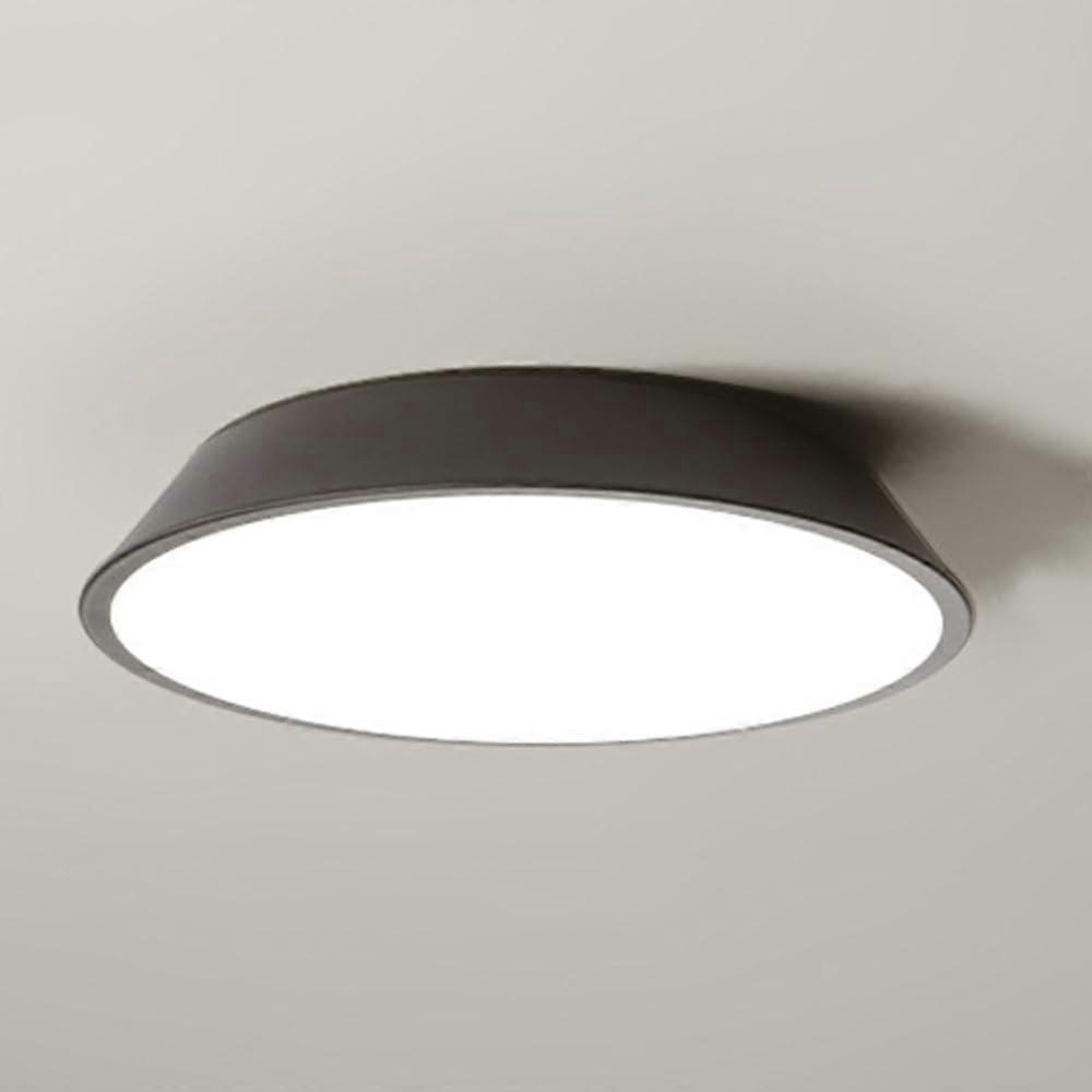 Minimalist LED Ceiling Lamp, Modern Dimmable Round Fixture for Corridor and Home Entrance