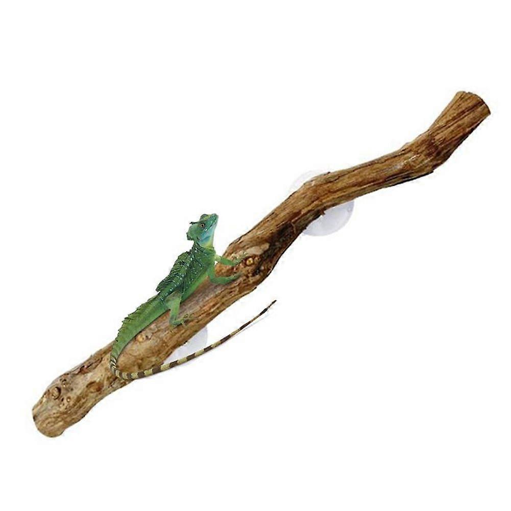 Reptile Branches for Climbing Unique Bearded Dragon Branch Natural Non-Slip Habitat Decorations Reptile Decor
