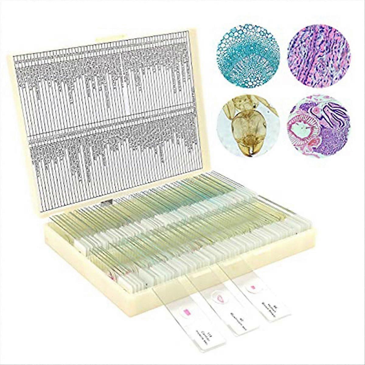 Microscope Slides with Specimens From Children, Microscope Slides