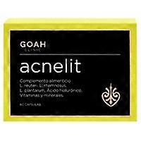 Acnelit (skin) 60 vegetable capsules