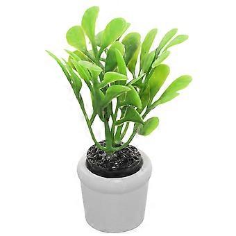 Miniature Plants Mini Potted Plant for Decoration Table Decorations